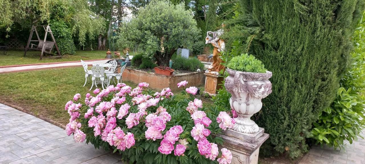 Albi A Proximite, Maison D'Hotes Les Oliviers Rosieres  エクステリア 写真