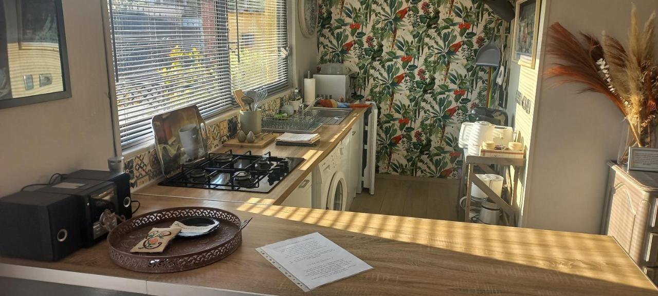 Albi A Proximite, Maison D'Hotes Les Oliviers Rosieres  エクステリア 写真